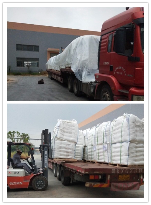 博亚体育app入口